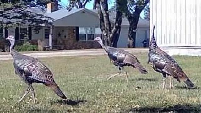 2542 County Road P, Verona, WI 53593