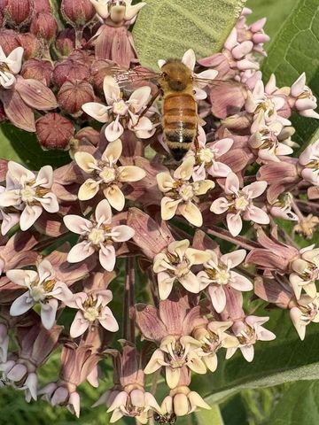 2542 County Road P, Verona, WI 53593