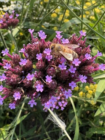 2542 County Road P, Verona, WI 53593