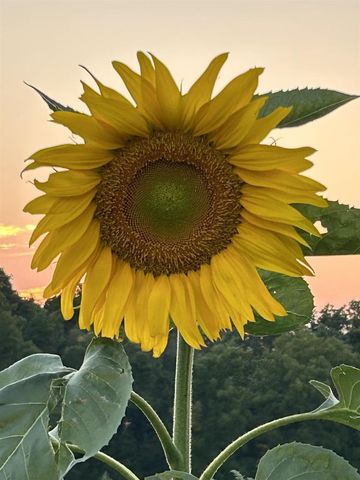 2542 County Road P, Verona, WI 53593