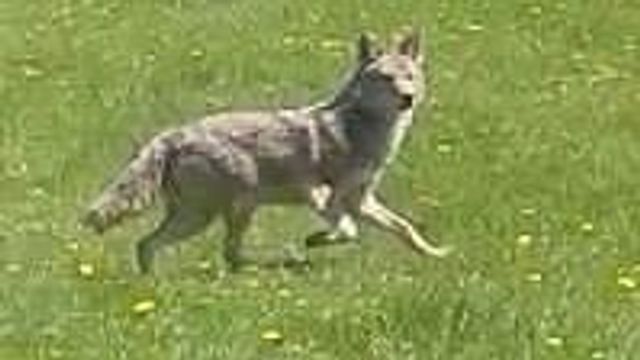 2542 County Road P, Verona, WI 53593