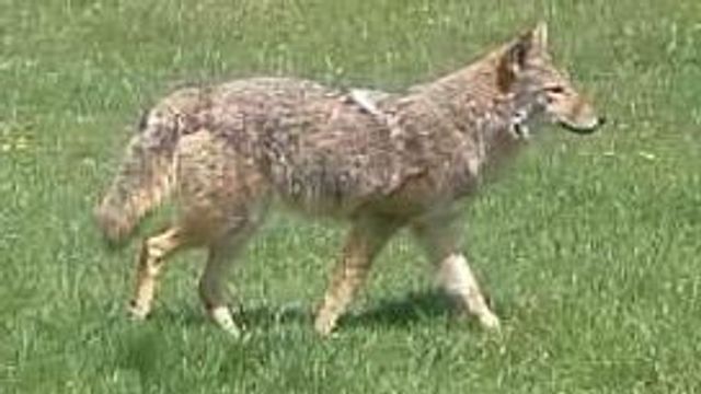 2542 County Road P, Verona, WI 53593