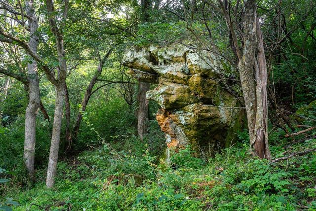 2542 County Road P, Verona, WI 53593