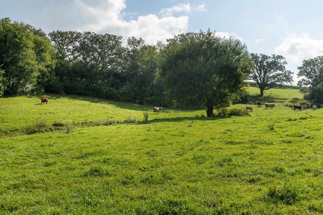 2542 County Road P, Verona, WI 53593