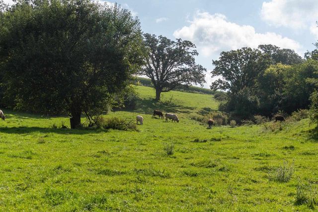 2542 County Road P, Verona, WI 53593