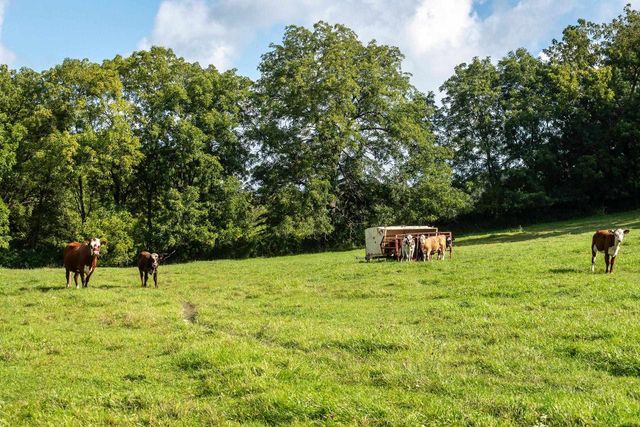 2542 County Road P, Verona, WI 53593