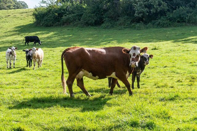 2542 County Road P, Verona, WI 53593