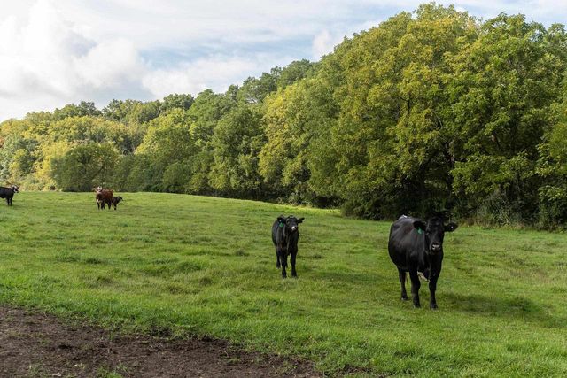 2542 County Road P, Verona, WI 53593