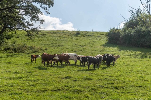 2542 County Road P, Verona, WI 53593