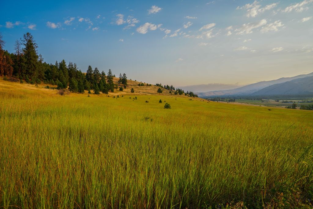 NHN Maclay Road, Lolo, MT 59847 photo 10