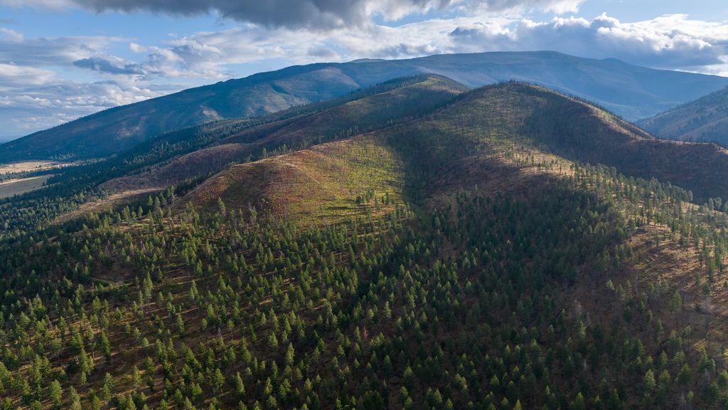 NHN Maclay Road, Lolo, MT 59847 photo 12