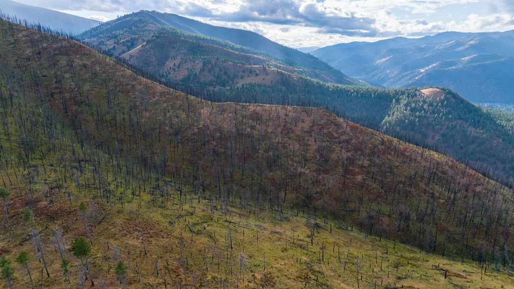 NHN Maclay Road, Lolo, MT 59847 photo 13