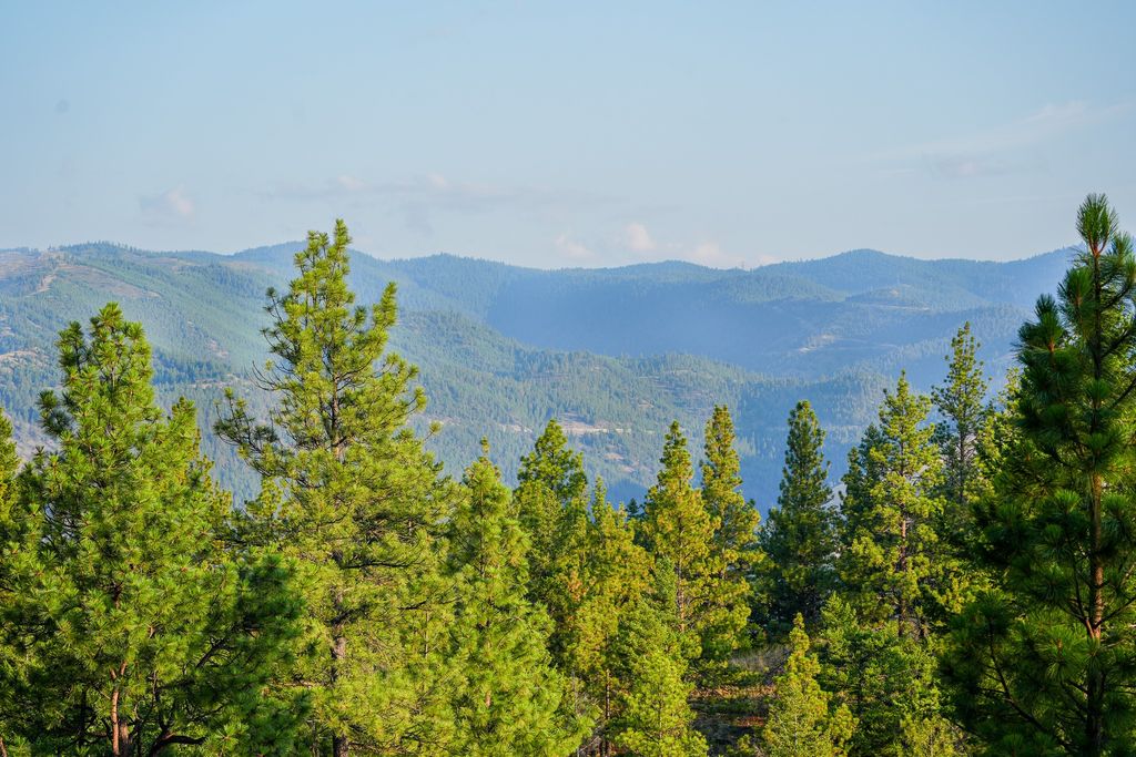 NHN Maclay Road, Lolo, MT 59847 photo 23