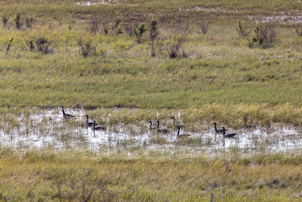 NHN Maclay Road, Lolo, MT 59847 photo 29