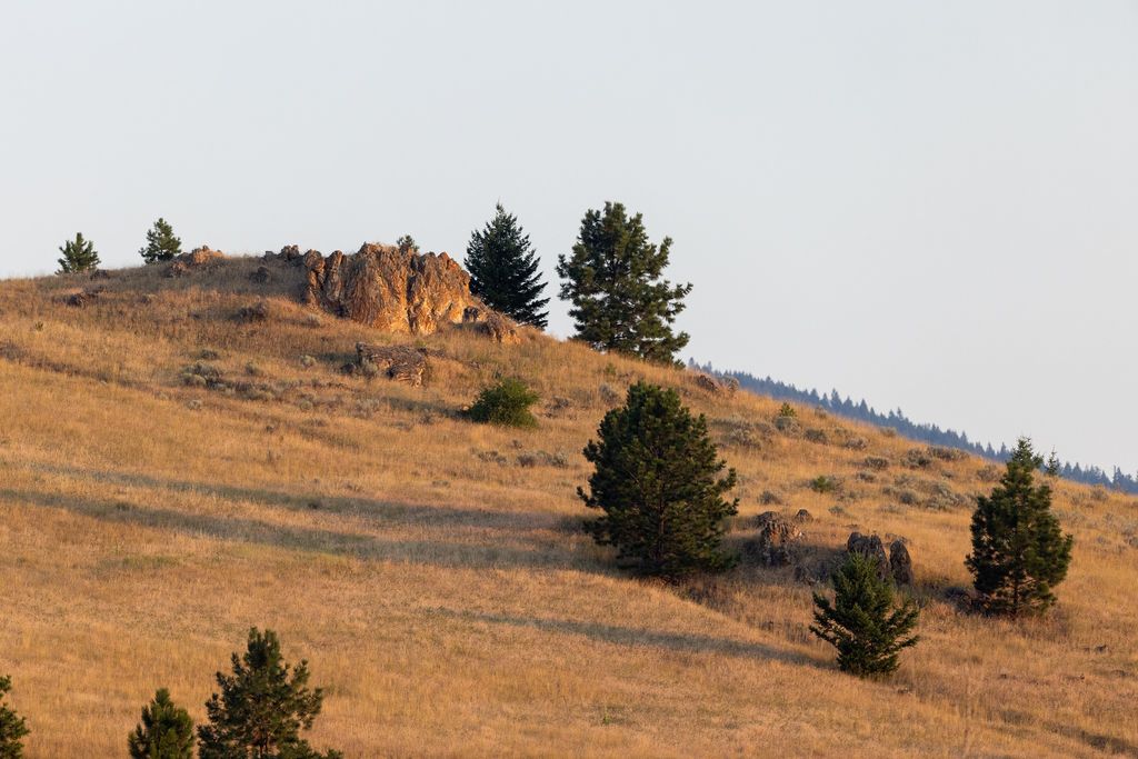 NHN Maclay Road, Lolo, MT 59847 photo 31