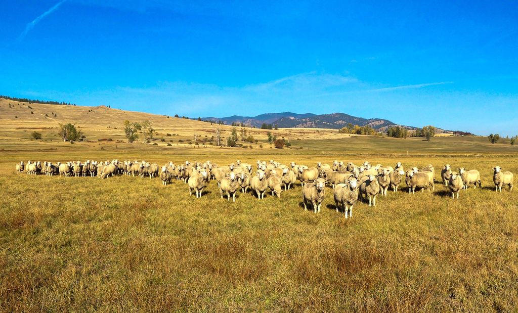 NHN Maclay Road, Lolo, MT 59847 photo 33