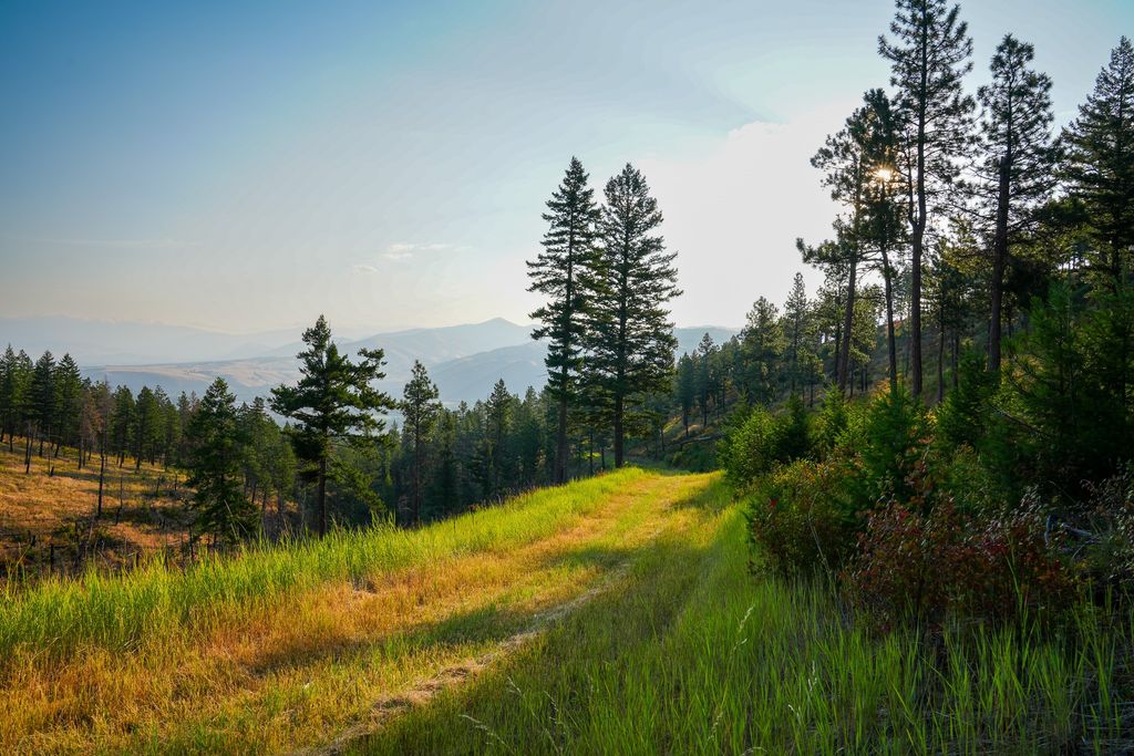 NHN Maclay Road, Lolo, MT 59847 photo 36