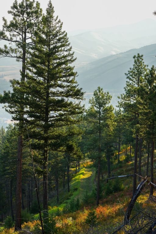 NHN Maclay Road, Lolo, MT 59847 photo 37