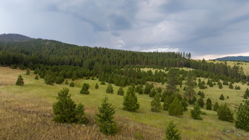 NHN Maclay Road, Lolo, MT 59847 photo 47