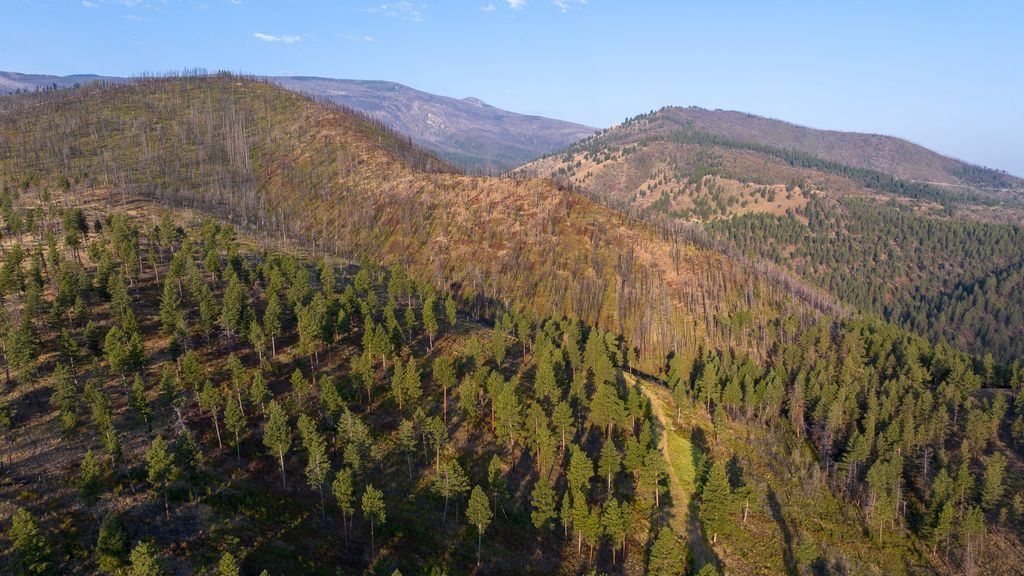 NHN Maclay Road, Lolo, MT 59847 photo 49