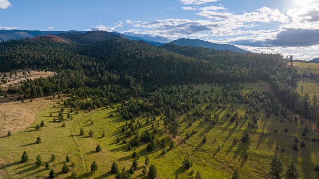 NHN Maclay Road, Lolo, MT 59847 photo 5