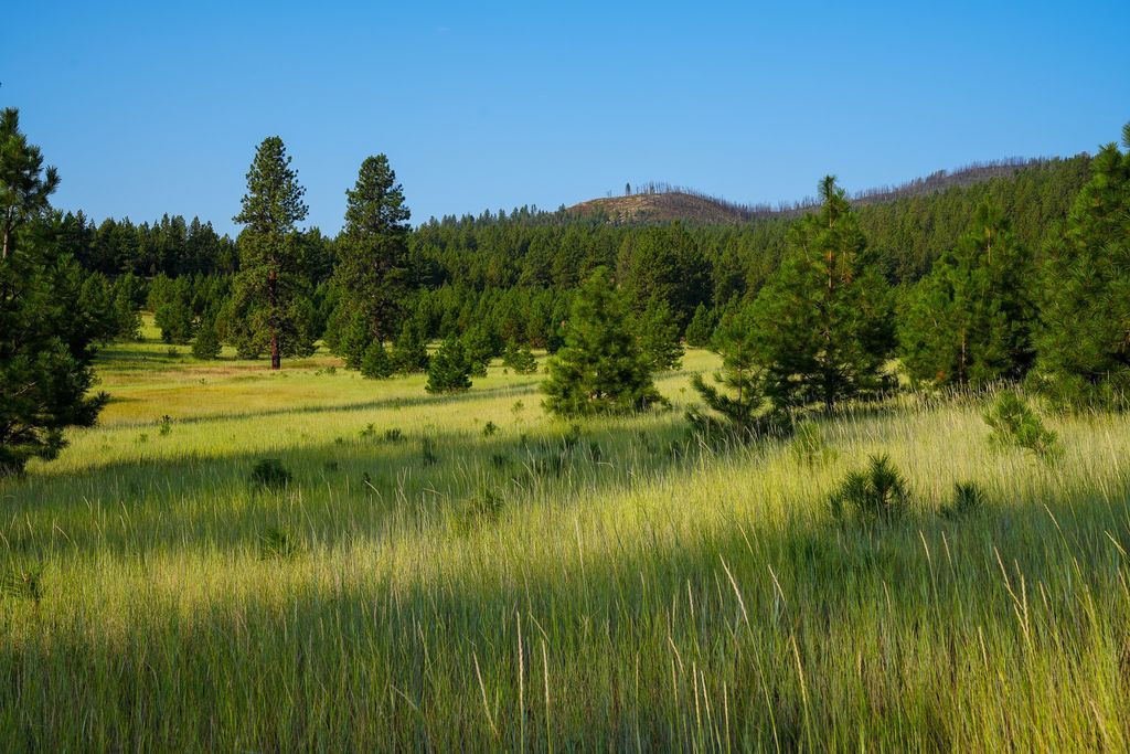 NHN Maclay Road, Lolo, MT 59847 photo 52