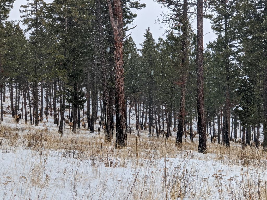 NHN Maclay Road, Lolo, MT 59847 photo 56