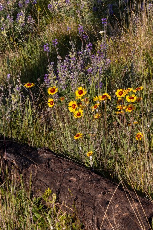 NHN Maclay Road, Lolo, MT 59847 photo 58