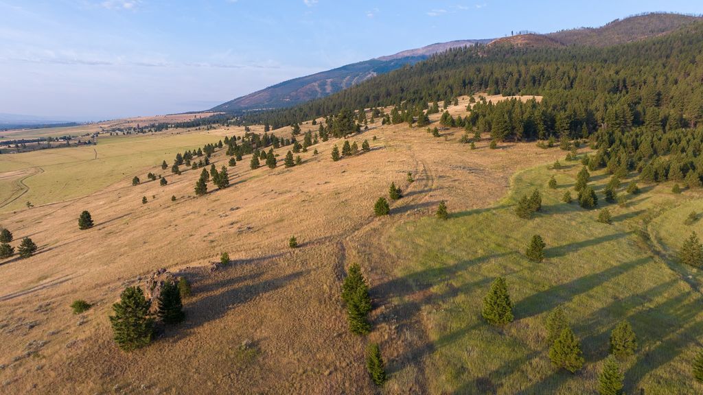 NHN Maclay Road, Lolo, MT 59847 photo 8