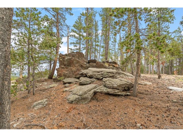 74 Valley View Ln, Evergreen, CO 80439