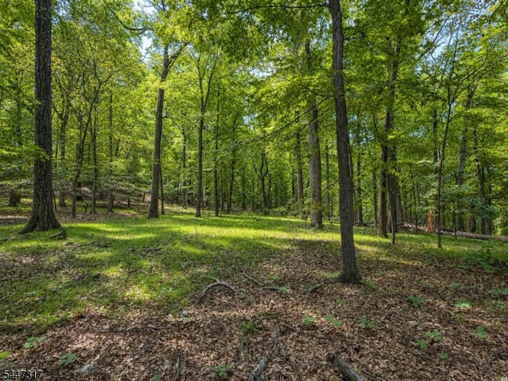 211 Douglass Ave, Bernardsville Boro, NJ 07924 — photo 5