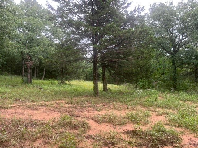 924 The Oil Road, Gainesville, TX 76240