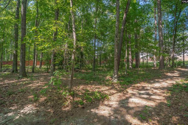 205 Fair Ridge Road, Blythewood, SC 29016