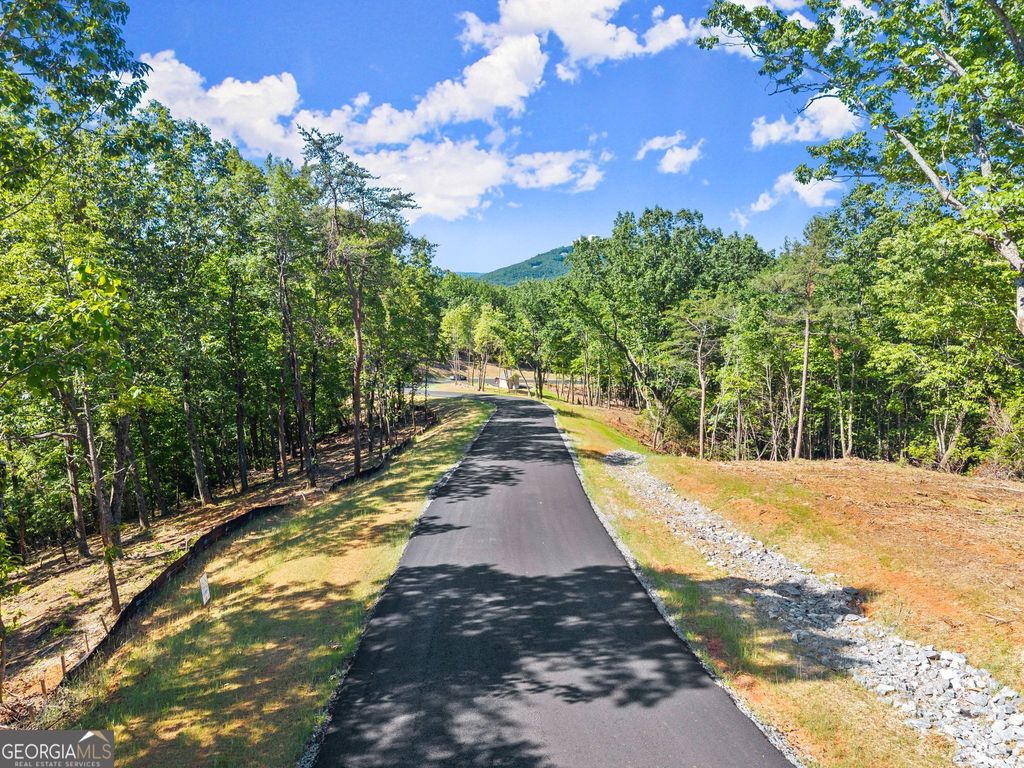178 Chimney Oaks Trail, Cleveland, GA 30528