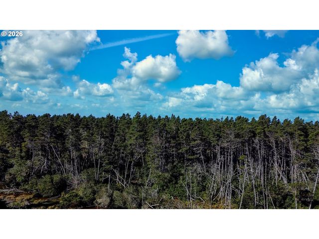 87784 TERRACE VIEW Dr, Florence, OR 97439