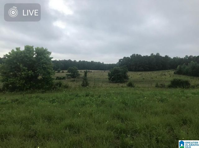 0 NEW HARMONY ROAD, Clanton, AL 35045