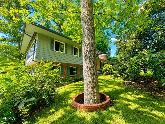 301 Hillside Road, Johnson City, TN 37601