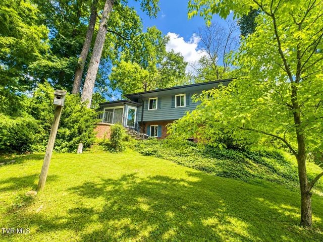 301 Hillside Road, Johnson City, TN 37601