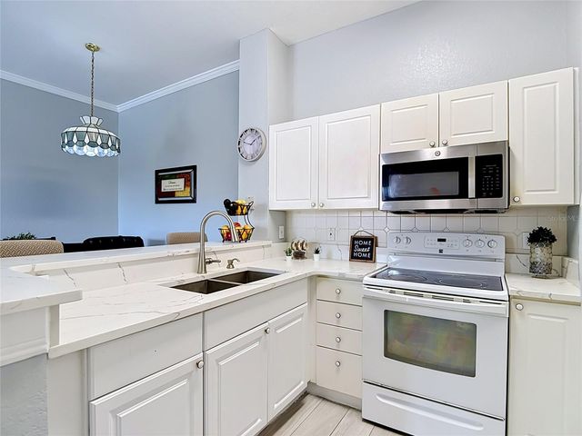 18107 PEREGRINES PERCH PLACE 6304, Lutz, FL 33558