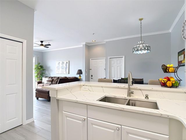 18107 PEREGRINES PERCH PLACE 6304, Lutz, FL 33558