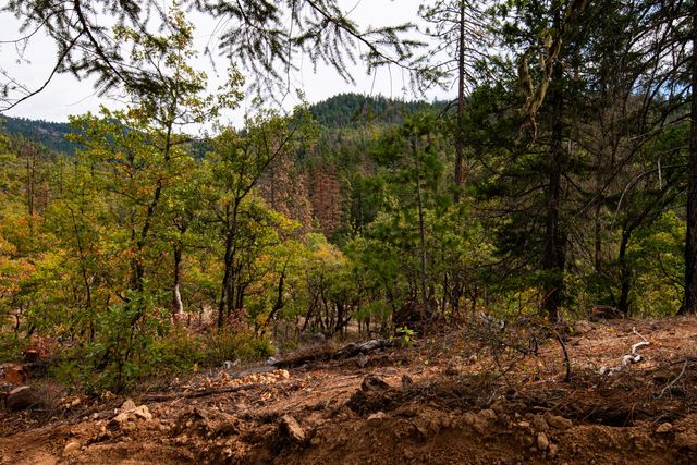 3860 Highway 227, Trail, OR 97541