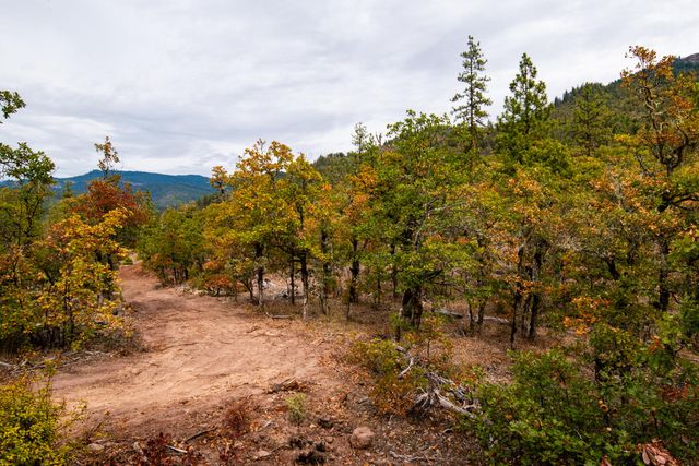 3860 Highway 227, Trail, OR 97541