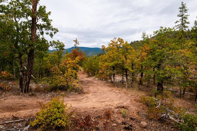 3860 Highway 227, Trail, OR 97541