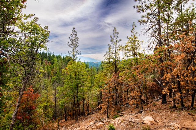 3860 Highway 227, Trail, OR 97541