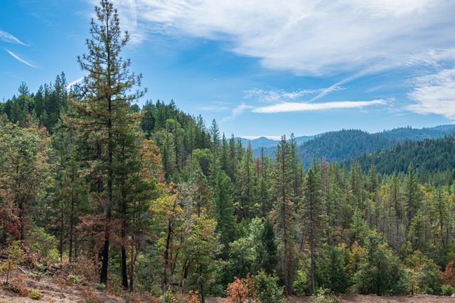 3860 Highway 227, Trail, OR 97541