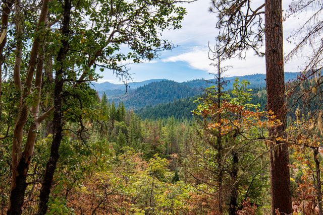 3860 Highway 227, Trail, OR 97541