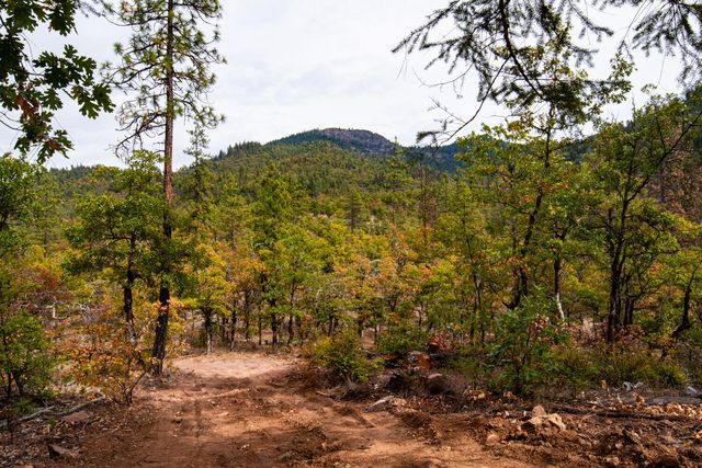 3860 Highway 227, Trail, OR 97541