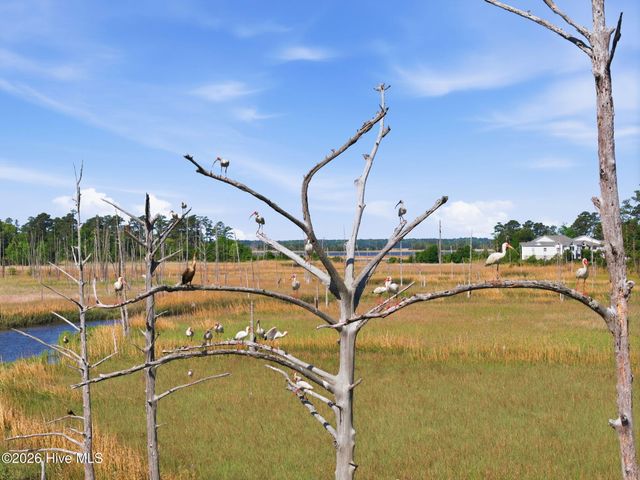 406 Longmeadow Drive, Wilmington, NC 28412