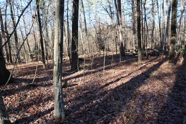 920 Chowan Avenue, Durham, NC 27713