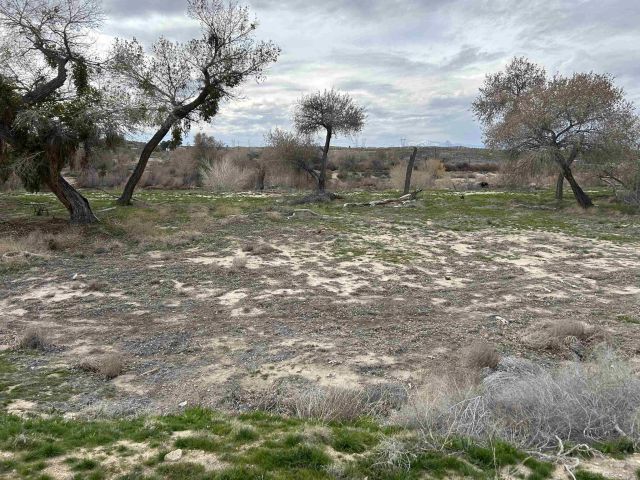 17930 National Trails Hwy 3, Oro Grande, CA 92368